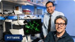 How a fish could lead to new hope for treating persistent wounds